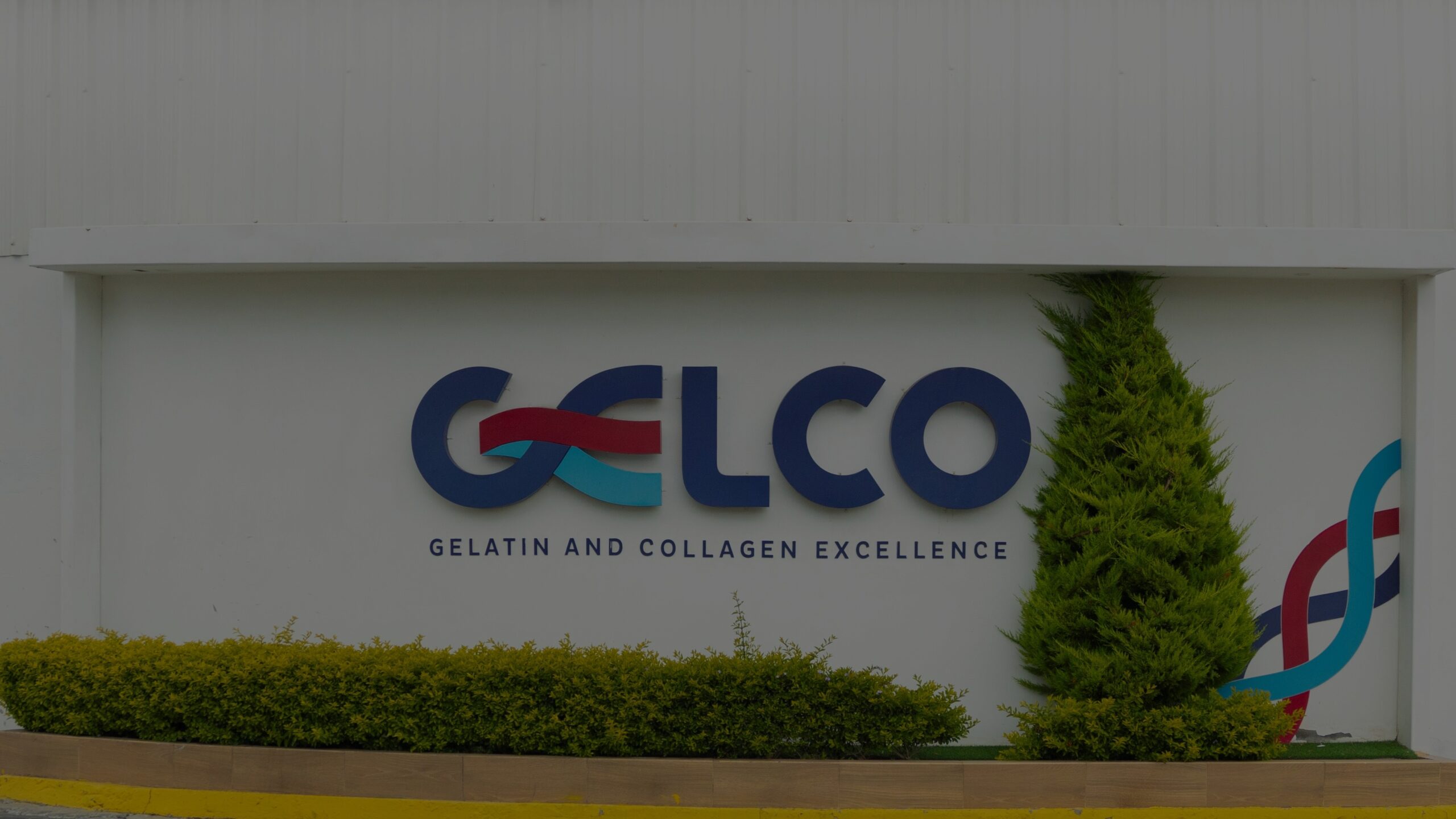Planta Ambato celebra en el 2024 sus 15 años de trayectoria como parte del grupo Gelco.  